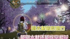 黎明觉醒雪山爆料视频在线观看,雪山揭秘，独家视频带你领略神秘雪域风光  第2张